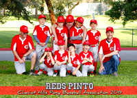 Reds