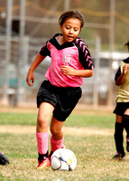 Pink Panthers