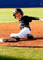 Marlins